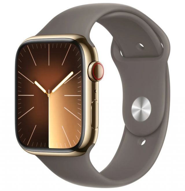 Apple Watch Series 9 Cellular 45mm Zlatá ocel s jílově šedým sportovním řemínkem S/M